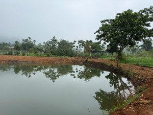 bán đất tại xã minh quang, ba vì, hà nội, giá ưu đãi 2,2 triệu / m2, 2697 m2