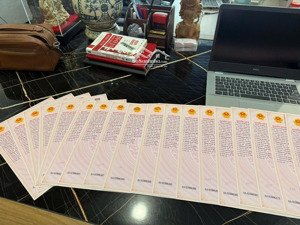 hàng chính chủ văn phòng phát bán 25 lô