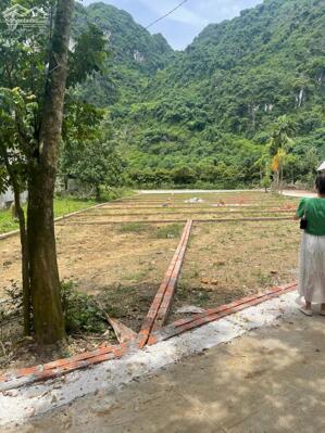 Bán đất F0 giá rẻ chỉ 300tr/ nền tại Thanh Sơn, Lương Sơn, Hòa Bình