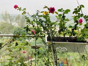 bán căn hộ chung cư hưng phúc, view đẹp, 8,6 tỷ, 98m2, 3pn, 2wc tại tân phú, quận 7