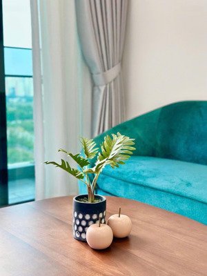 cho thuê căn hộ the river thủ thiêm 2pn full nt vào ngay 38tr