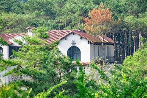 tiếc đứt ruột vì nhiều lý do khách em cần bán gấp căn biệt thự song lập dự án thanh xuân valley