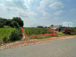 cần tiền bán gấp đất gần núi bà đen, mặt tiền đường nhựa, 587.3m2, ngang 10m, giá 1,25 tỷ