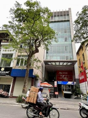 lê đức thọ - bán nhà mặt phố giá phân lô - vỉa hè rộng - kinh doanh đỉnh - 85m2 - mt 5m - 43 tỷ