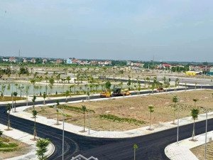 đất đấu giá trục chính đường đôi an đồng - a sào - thái bình