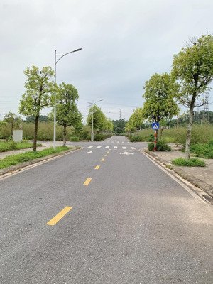 lô đất hướng đông nam 105m (ngang 5m) sẵn sổ, sang tên ngay, tài chính chỉ 2 tỷ!