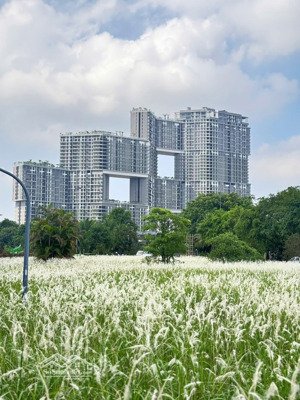 cho thuê căn hộ đang bàn giao ecopark tòa sky forest, căn 05a tòa sf3, đang nhận nhà, giá:6.5tr