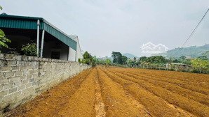 cơ hội đầu tư vị trí đất đẹp tiềm năng tại hợp phong, cao phong, hoà bình chỉ từ 560 triệu