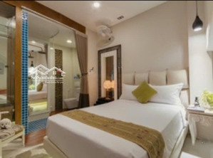 cho thuê cc mini 30m2, ở đ.nguyễn đình chiểu, p đa kao, q1, hcm