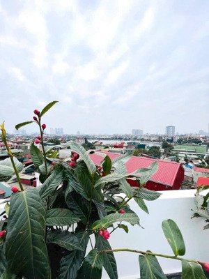 hoàng văn thái, 65m2, 7t, mặt tiền rộng rãi, kinh doanh bất chấp 23 tỷ