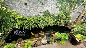 (ncc) cho thuê nhà sân vườn 200m2 - gần trương quang được - minh mạng. dt 200m² (ngang 10m)