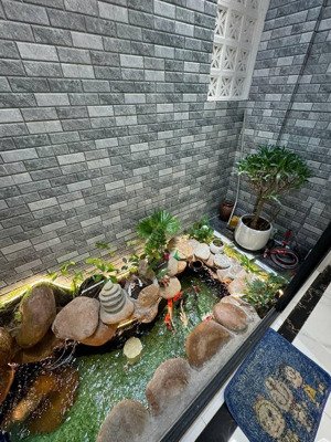 gấp chủ giảm chào 400 triệu nhỉnh 10 tỷ có sở hữu được nhà bể cá koi, thang máy, 61m 