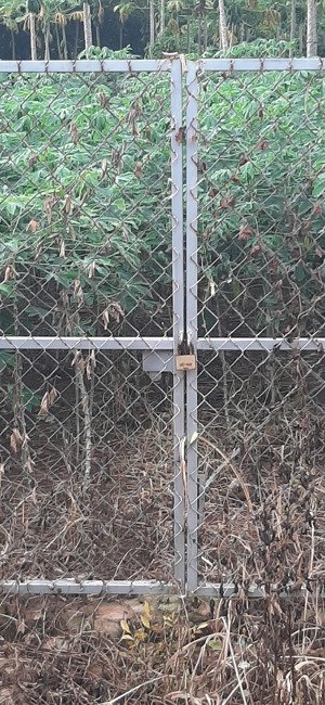 21mét mặt tiền đường nhựa rộng rãi ở nghĩa thành full hồng thổ cư nhiều full dịch vụ tiện ích 1,5km