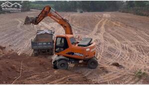 Bán lô 10.000m2 đất Rừng Sản Xuất, Hướng Đạo, Tam Dương lh_0987673102