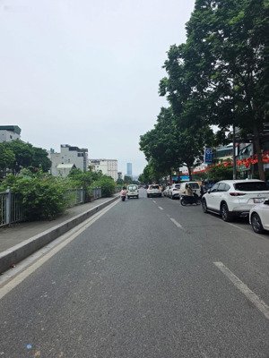 phân lô mạc thái tổ cầu giấy, kinh doanh bất chấp.