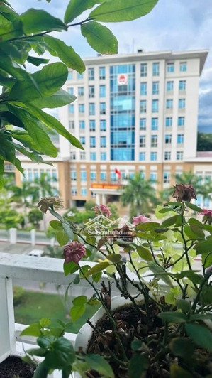 chủ cần tiền bán nhanh căn hộ vĩnh điềm trung ct4a lh: để xem nhà