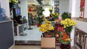 bán nhà 5 tầng hxh lê hồng phong, q10, 60m² ngang 9,3m, 10pn, dòng tiền 600tr/năm, giá 16.8 tỷ tl