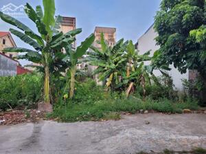 Bán 96m2 đất Cái Tắt An Dương Hải Phòng