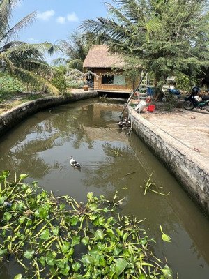 bán đất nhà vườn mặt tiền kênh đá hàn, bình mỹ, củ chi. 12.2x53m nở hậu 22m 1192m² view kênh mát mẻ