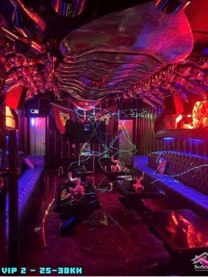 cho thuê karaoke vip khu biển sơn trà