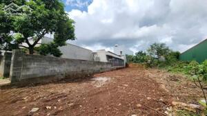 Lô 8x44m mặt tiền Nguyễn Đình Hoàng trung tâm p.Tân Lợi - BMT dân cư đông đúc