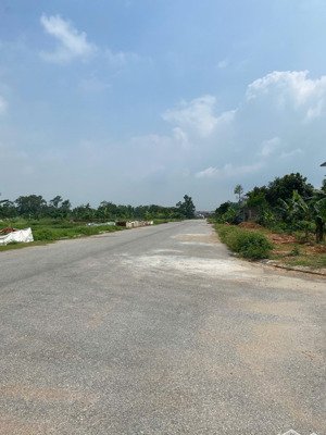 cần bán lô đất nền xây dựng tự do thuộc khu đất dịch vụ phường tích sơn, tp vĩnh yên cũ