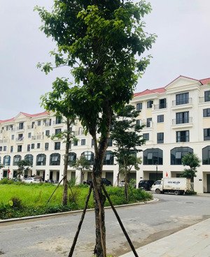 bán nhanh lk3 khu đô thị hinode royal park kim chung hoài đức