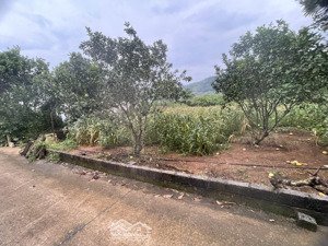 chính chủ bán 3000m2 đất chưa sổ đỏ (đất khai hoang). mặt tiền 50m. đường 5m ô tô tải vào tận đất