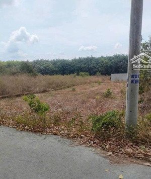 đất sổ sẵn sát bên kcn nam tân uyên, dt 519m2 ngang 10 cách bệnh viện bến sắn chỉ 2p di chuyển, shr