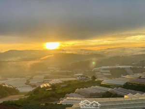 đất giá đầu tư đường cao thắng view thung lũng rừng thông săn mây 1104m2 nở hậu