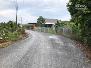 chính chủ bán 4200m2 đất mặt tiền đường nhựa 6 mét, cái bè tiền giang