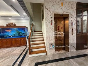 hiếm! bà triệu, hà đông lô góc 5 tầng 45m thang máy, ô tô vào nhà, kinh doanh đỉnh, quanh 10 tỷ