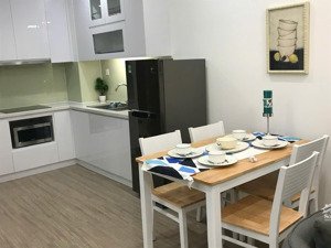 bán căn hộ 2pn 1vs tại vinhomes bắc ninh, diện tích 54m2 - cho thuê được 16tr/tháng. view đẹp a
