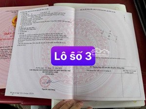 59m2 & 118m2 tại đình tràng - dục tú - quy hoạch đường 17m bìa làng đường hiện tại 6m thông