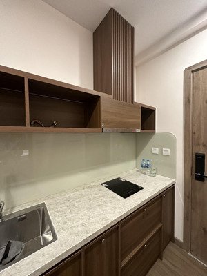 căn hộ studio 29,6m2 skyoasis giá 2.490 tỷ.