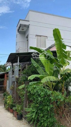 giá siêu rẻ. bán nhà full thổ cư gần chợ đầu mối phường phú khương.