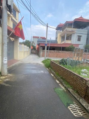 (chính chủ) bán đất tại đa tốn, gia lâm, hà nội, 54 triệu / m2, 51.8m2, nhiều tiện ích, ngõ xe tải