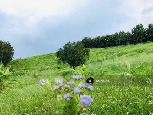 chủ cần bán gấp vườn nghỉ dưỡng gần hồ trị an view đồi cực đẹp, giá chỉ 850 nghìn/m