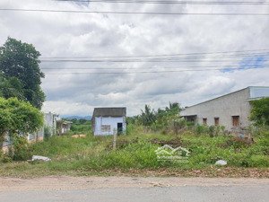 cần bán 12750m2 có thổ, mặt tiền ql26 cạnh ubnd ninh tây - ninh hoà