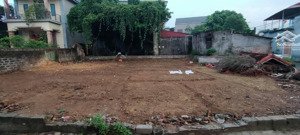 chính chủ bán đất thổ cư tại sơn đông sơn tây hà nội, dt 243m lô góc ô tô đỗ cửa ngõ thông dân đông