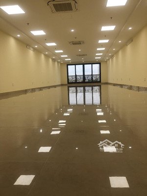 siêu hot mặt bằng kinh doanh phố nguyễn hoàng 50m x 5t