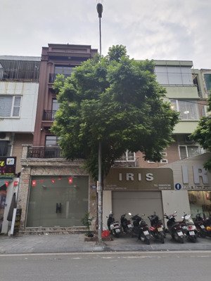 bán nhà mặt phố lý thường kiệt 45m2, 4 tầng 4m mt, 15 tỷ