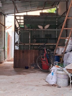 bán đất thổ cư thôn lại dụ, xã an thượng