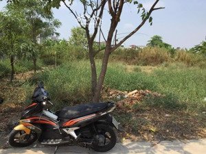 bán đất thổ cư đường bê tông 4m, xã đa phước, bình chánh, hồ chí minh, 5,3 tỷ,lh 