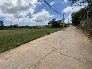 đất cây thông trong, 450m2 chỉ 1.4 tỷ / lô