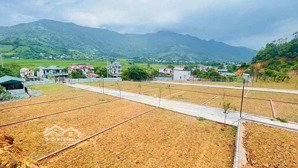 bán đất nền 150m2 tại đường 446, xã tiến xuân, thạch thất, hà nội, 2,8 tỷ