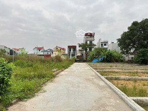 bán đất thôn ấp tre, (tổ 9 cũ), xã quang minh, tp hn. thửa đất vuông đẹp, đường rộng 3,5m