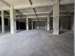 cho thuê xưởng chính chủ bình dương