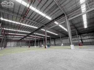 CHO THUÊ KHO XƯỞNG CẦN GIUỘC, LONG AN 2000M2 GIÁ 200TR- ĐƯỜNG CONT 24H- PCCC TỰ ĐỘNG