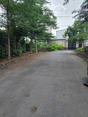 cho thuê nhà ngay phường thạnh mỹ lợi, q.2 cũ